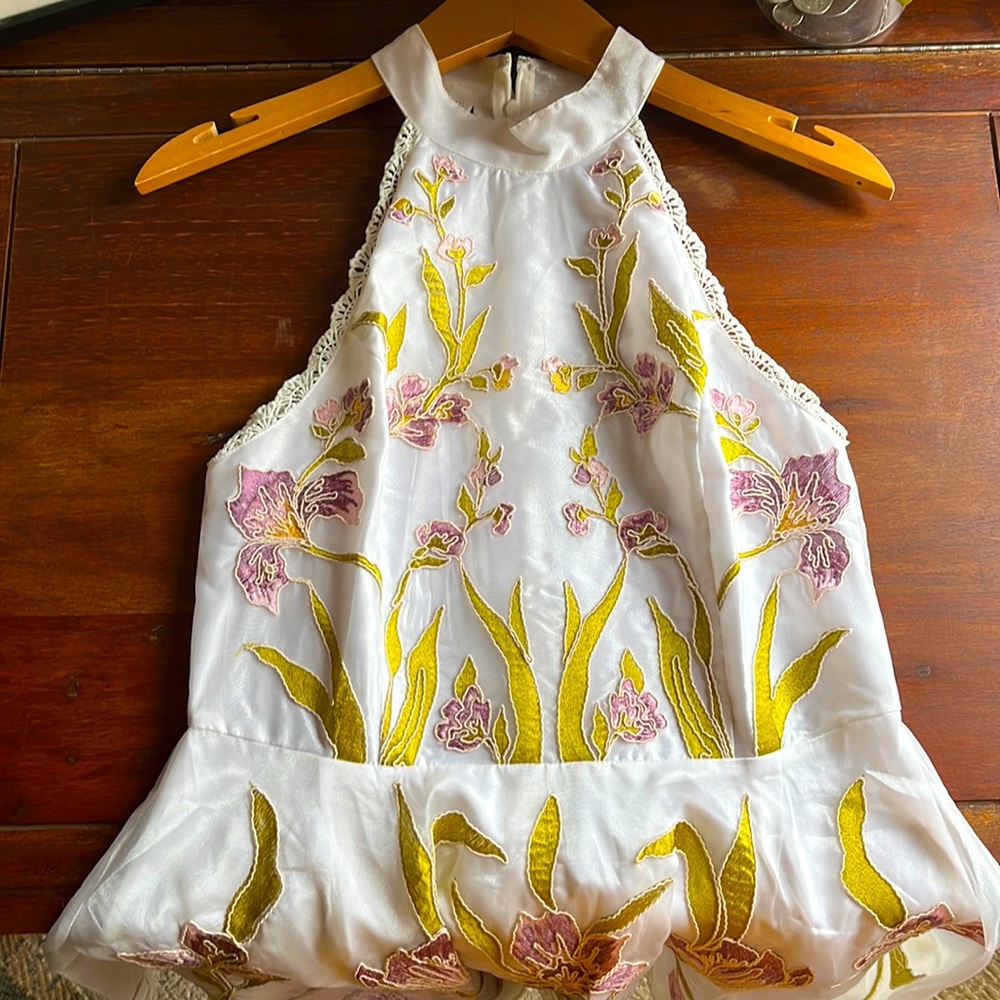 Jaw dropping embroidered dress!